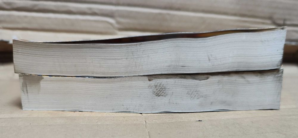 Тень горы Шантарам Грегори Дэвид Робертс 2 тома