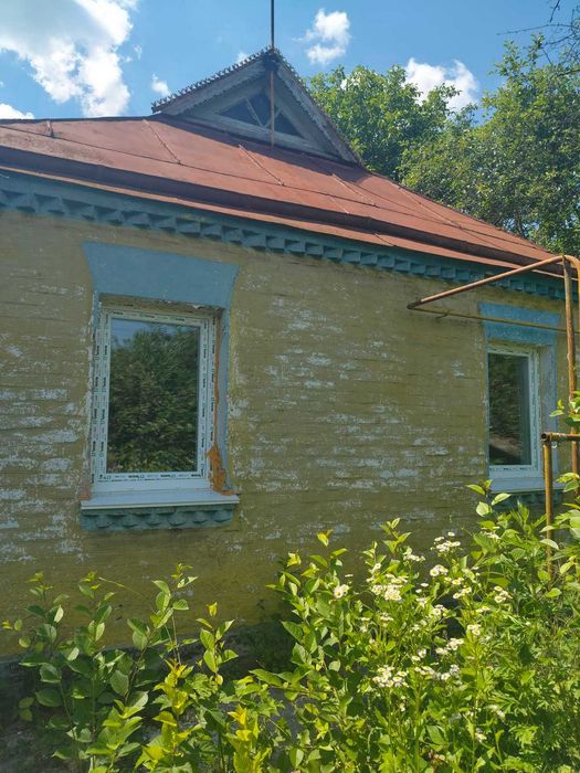 Дім в с. Дирдино Городищенський р-н Черкаська обл