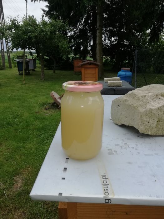 Miód z małej pasieki