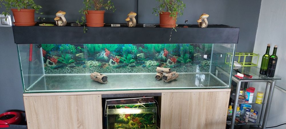 Sprzedam akwarium 500l