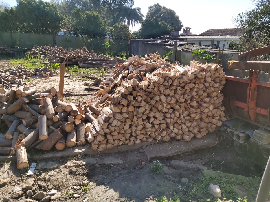 Lenha eucalipto ao m3