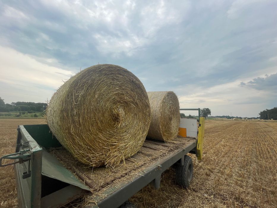 Słoma Owsiana 2025 sucha