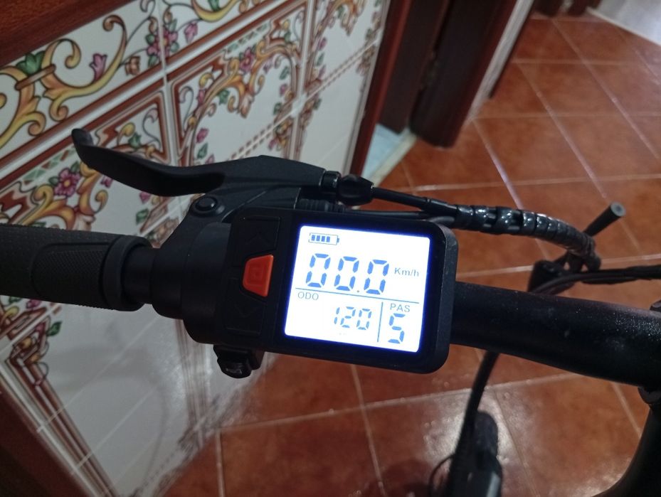 Bicicleta elétrica youin rio