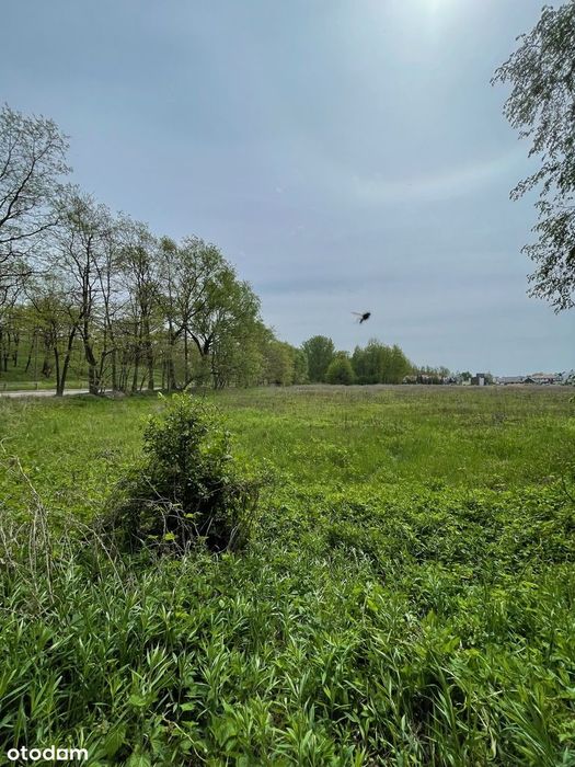 Działka 1,35 ha Kępa Zawadowska