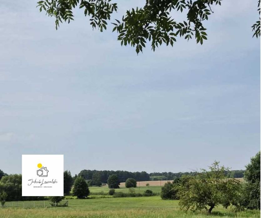 Malowniczo położona działka - Płosków gm. Sarnaki - Widok 4