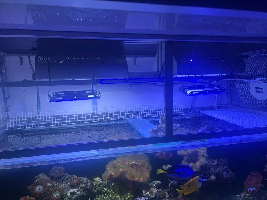 Lampy akwarystyczne HQI