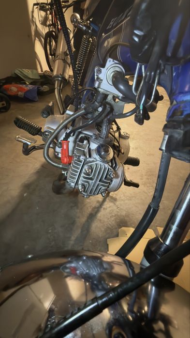 Honda dax monkey