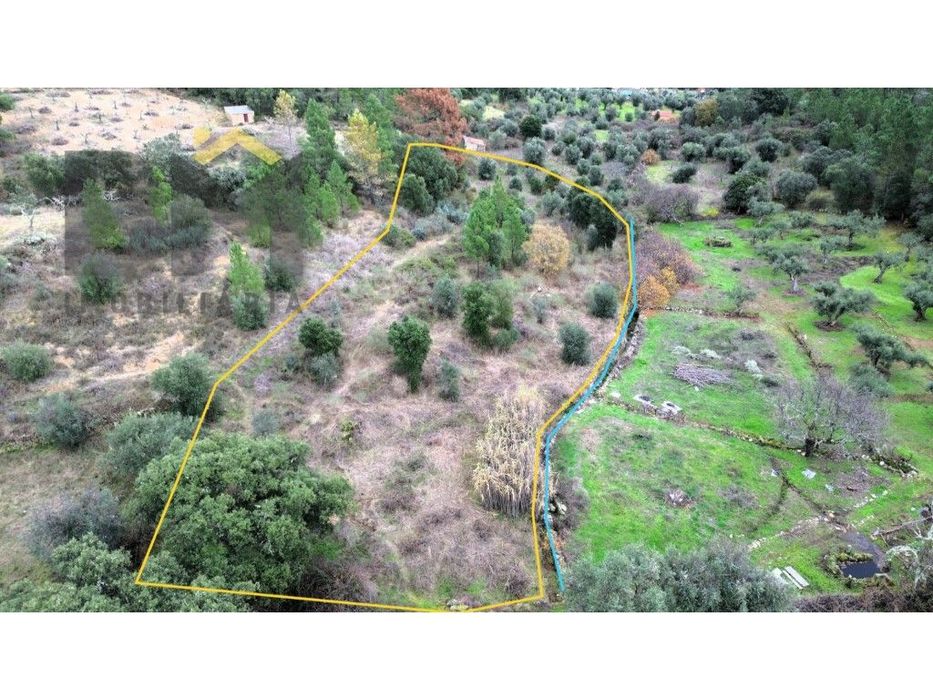 Terreno rústico com 3080m2, para venda, em Salgueiro do Campo!