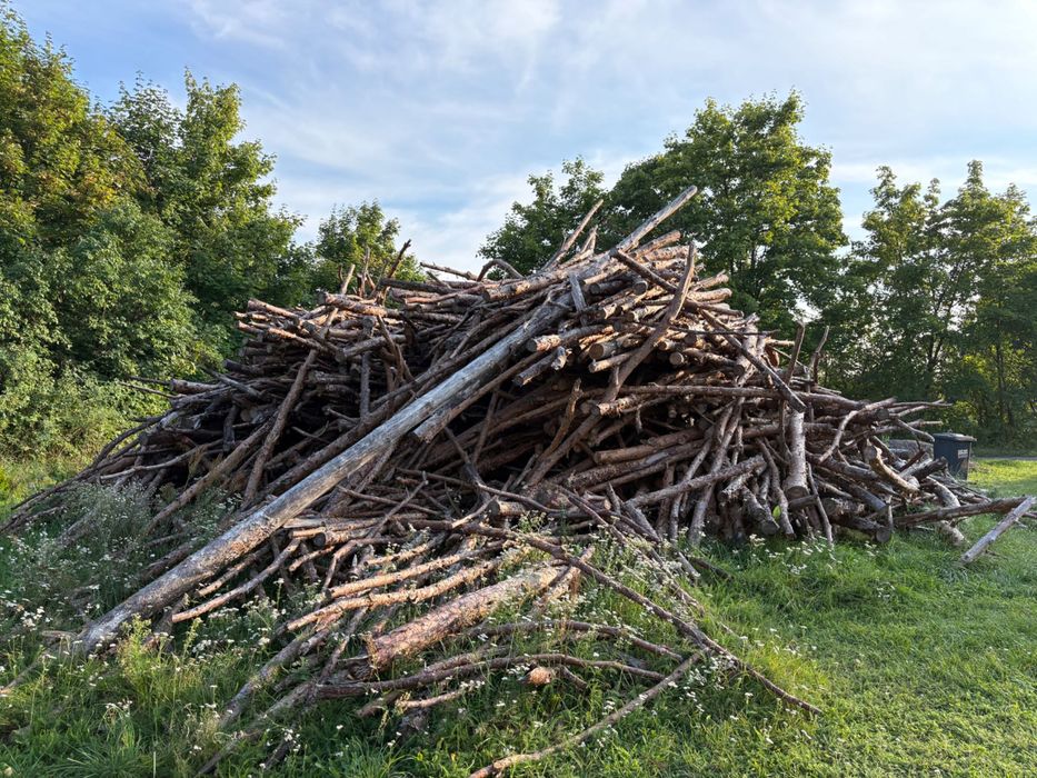 Drzewo na opał, w większości sosna