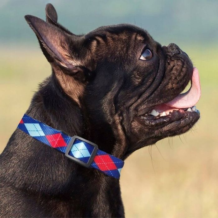 Obroża Materiałowa dla Małego Psa Piesków Szczeniaka Suczki Niebieska