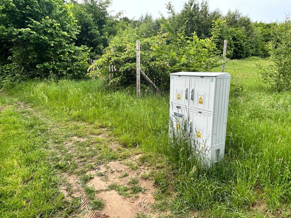 Zdjęcie 5