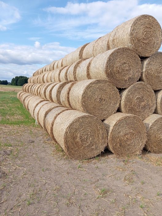 Sprzedam siano i słomę