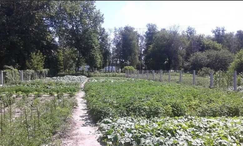 Продається дом в Київській області від хазяїна