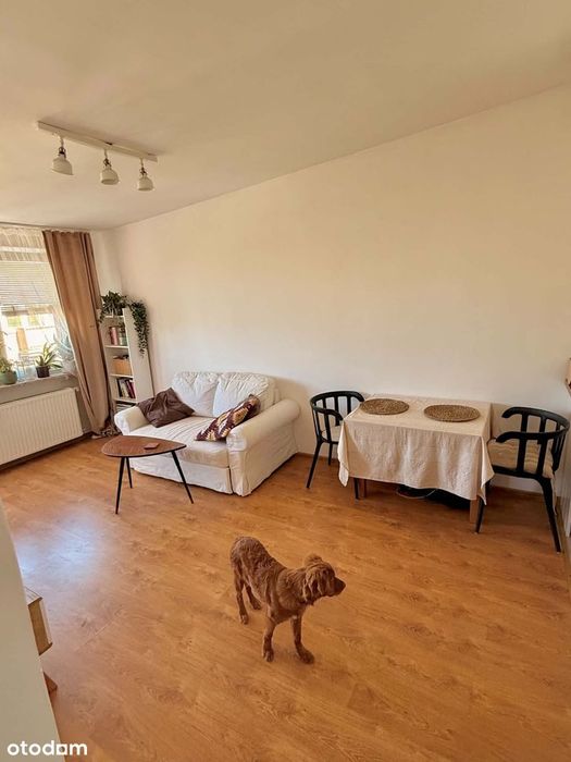[BEZPOŚREDNIO] Przytulne 34m² przy Rondzie Wiatraczna na sprzedaż - More