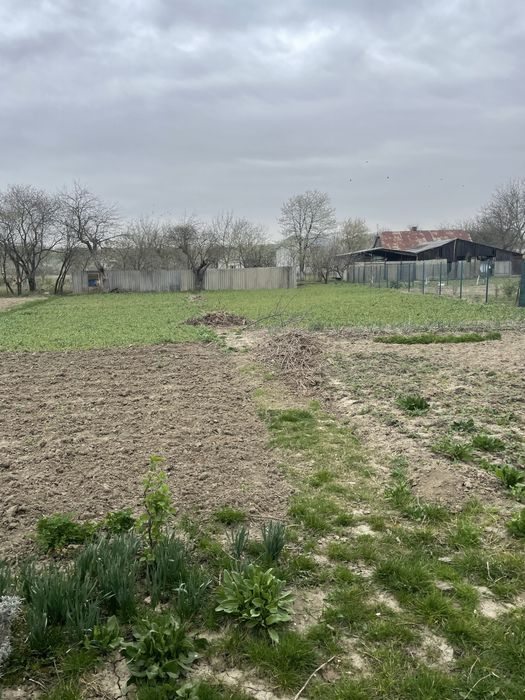 Дом по адресу ул. Северина Івана (площадь 32 м²) - Atlanta.ua - фото 6