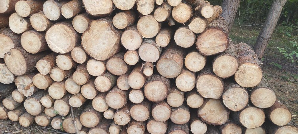 Drewno drewno kominkowe