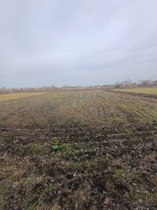 Продаж будинку в селі Веселе вул. Центральна .