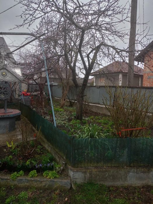 Продаж господарства