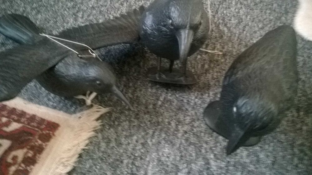 dekoracyjne ptaki ogrodowe