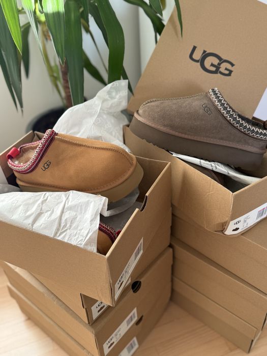 UGG tazz (зимові уги)