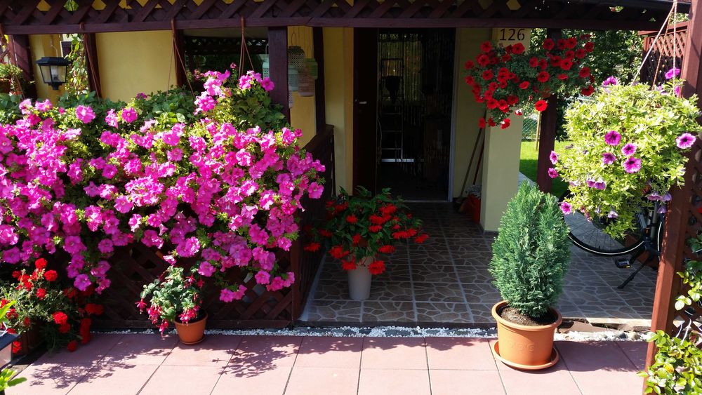 Sprzedaż działki ogrodowej ROD "JEDNOŚĆ"