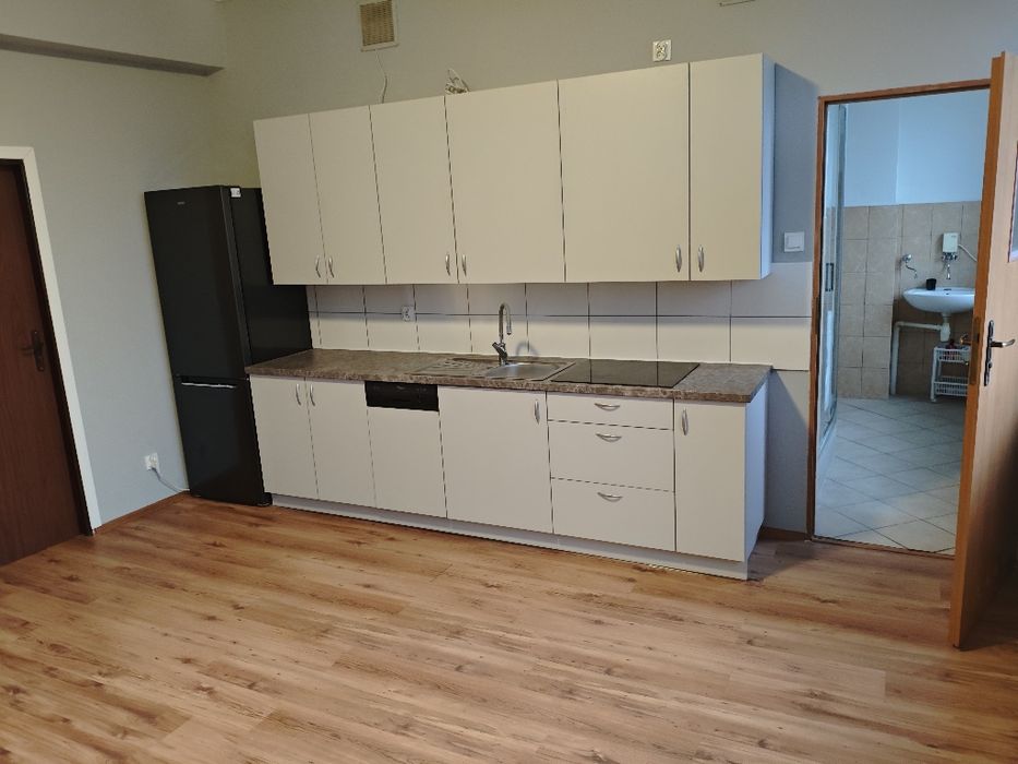 Mieszkanie do wynajęcia.