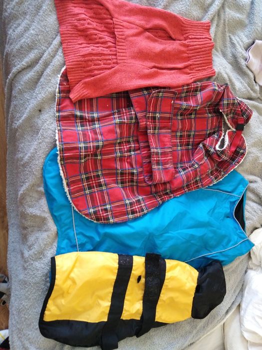 Одяг для улюбленців