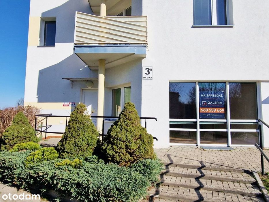 100 mkw, WEJŚCIE Z ULICY, DUŻE WITRYNY, duża główna sala,  ul. Dąbka