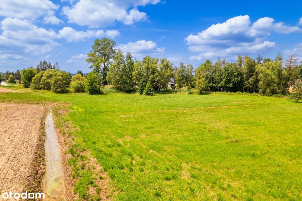 Burzyn, gm. Tuchów działka 57 ar – budowlana