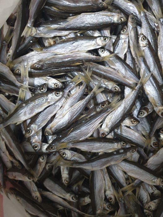 Плотва крупна з ікрою. Сушена Тарань Лящь Окунь