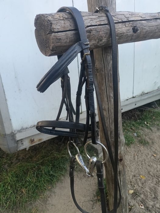 Ogłowie dla konia Pony