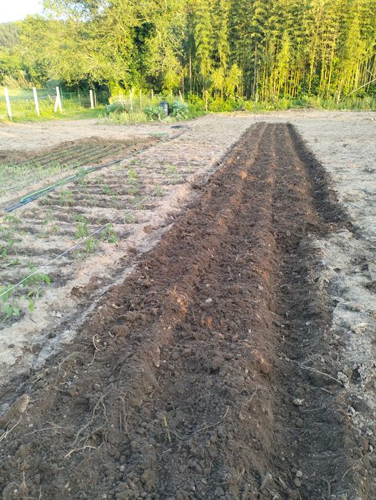 Terreno rústico próximo da cidade