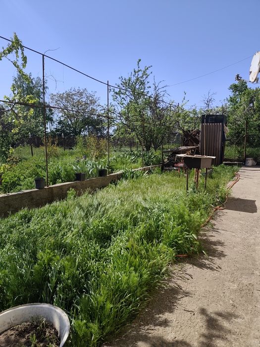 Аренда дома село Нерубайское " НАТИ"