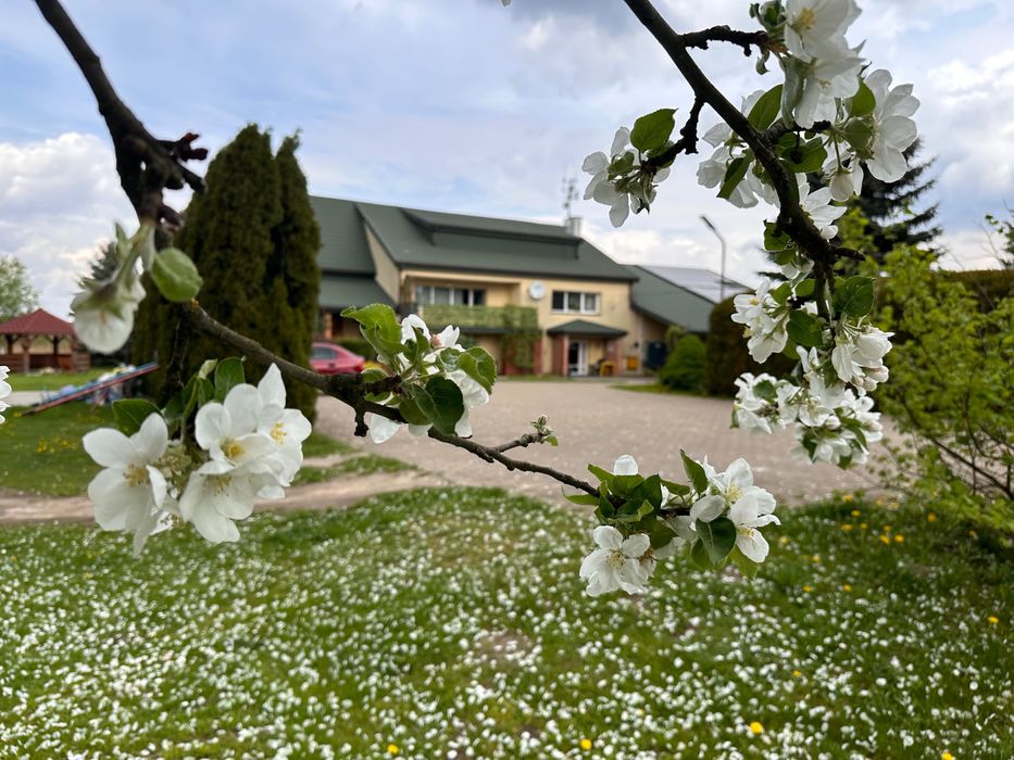 Agroturystyka "U Małgorzaty" noclegi Nadarzyn weekend z dziećmi dzieci