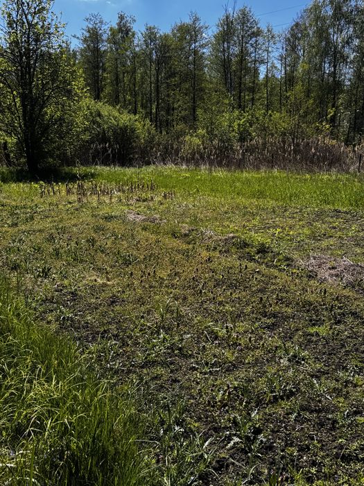 Продам дачу Бобровський масив