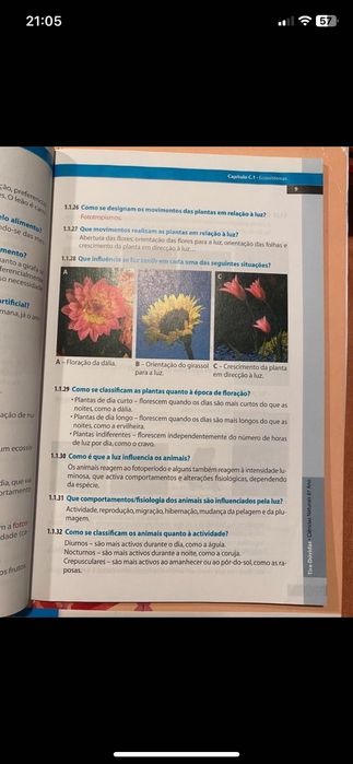 Tira-dúvidas Ciências Naturais - 8. ano