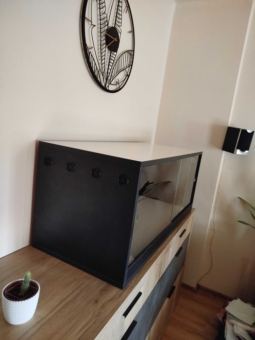 Terrarium biało czarne