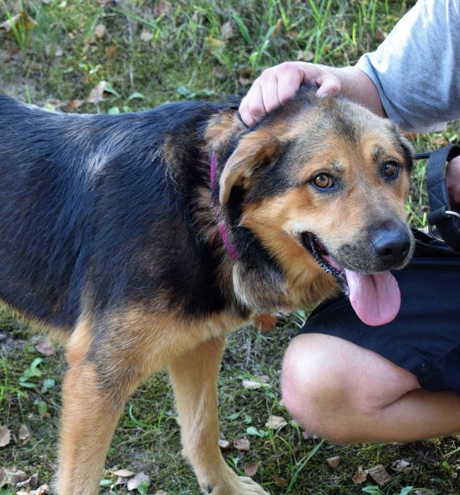Hans szuka odpowiedzialnego człowieka