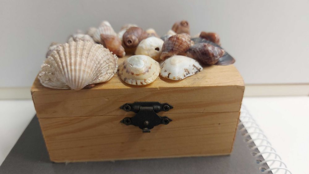 Caixa decorativa com concha marinhas
