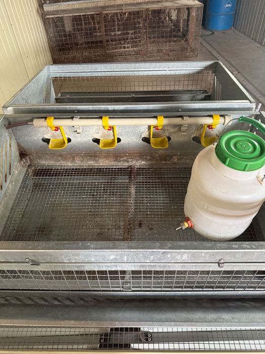 Клітка для перепелів