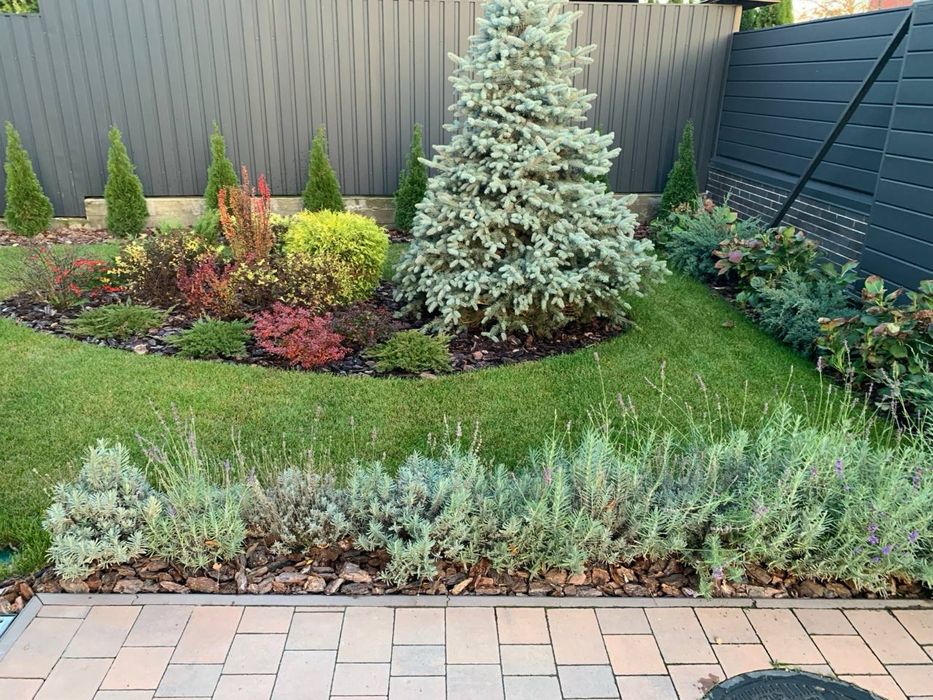 Автополив. Газон. Благоустрій