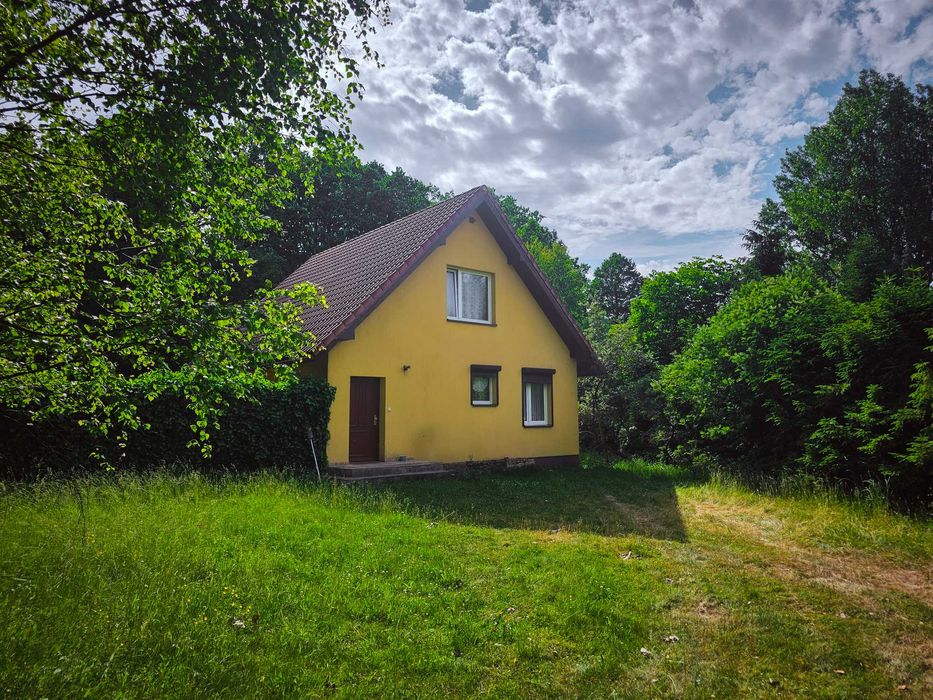 Wynajmę długoterminowo dom w Sasinie, 80 mkw, w pełni wyposażony Sauna i balia na terenie!