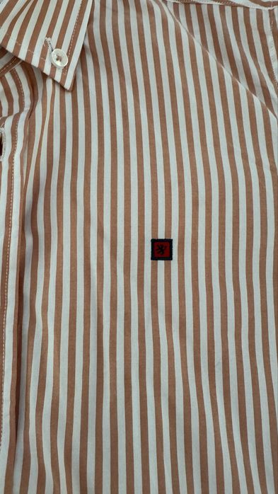 Camisa menino Lion of Porshe venda