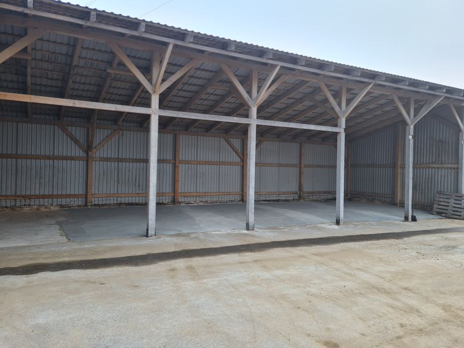 Wynajem hali magazyn-produkcja