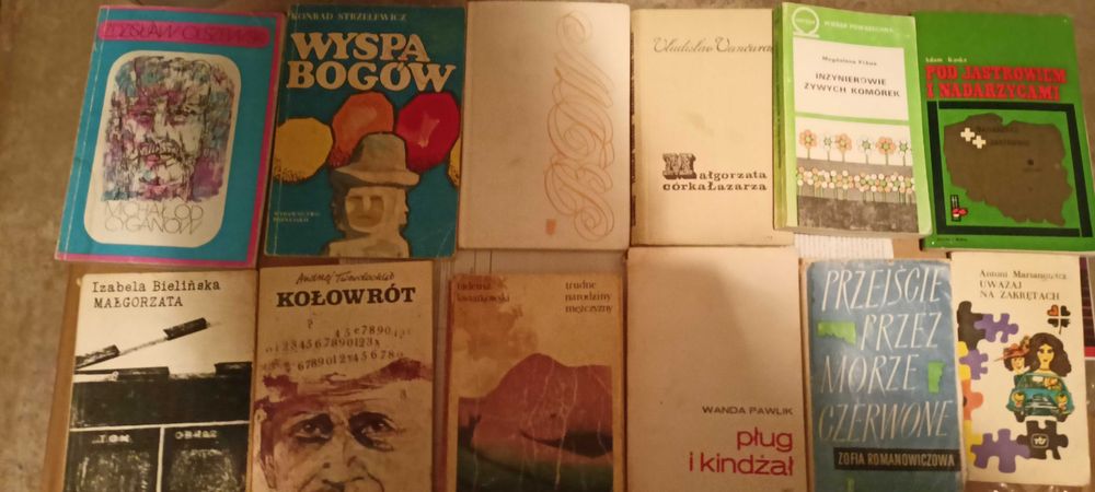 Sprzedam książki 100szt