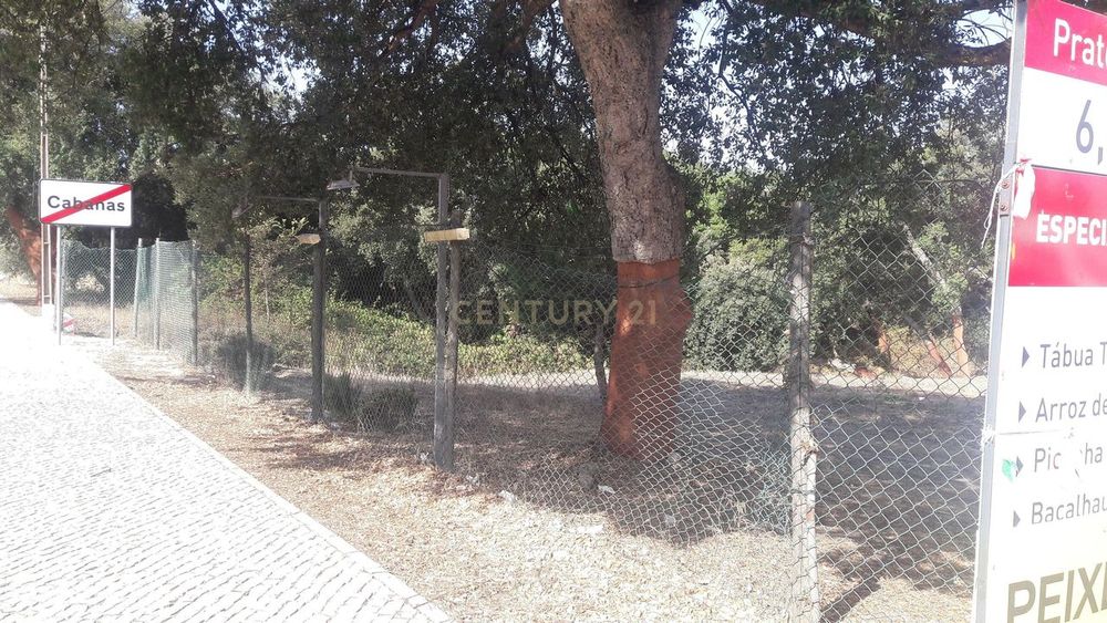 Arrendamento - Terreno Cabanas