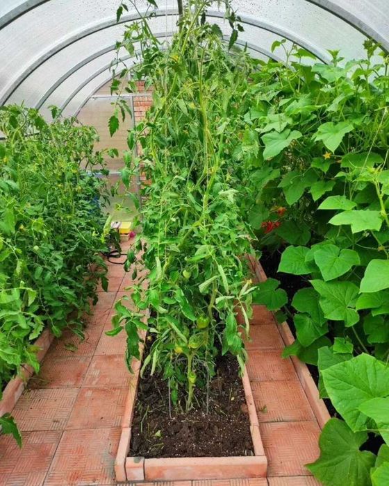 ‼️РОЗПРОДАЖ‼️ Теплиця з полікарбонатом та плівкою 2х3, 2х4, 3х6, 3х4, 4х6 4х8 від ВИРОБНИКА ‼️