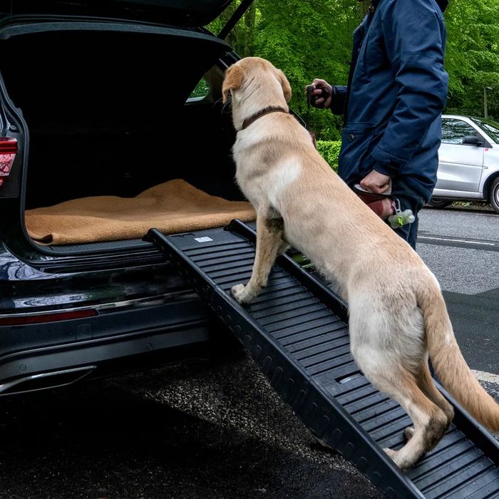 HAFENBANDE Champ Rampa Podest dla Psa 150x40,5x12,5cm do 45kg NOWA USZ