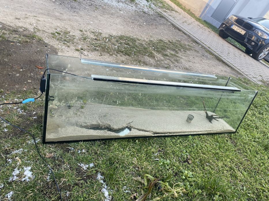 Terarium do sprzedania