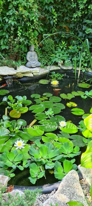 Просторный Дом  12-я Фонтана  Закрытый кооператив